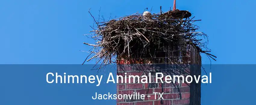  Chimney Animal Removal Jacksonville - TX