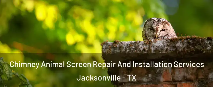  Chimney Animal Screen Repair And Installation Services Jacksonville - TX