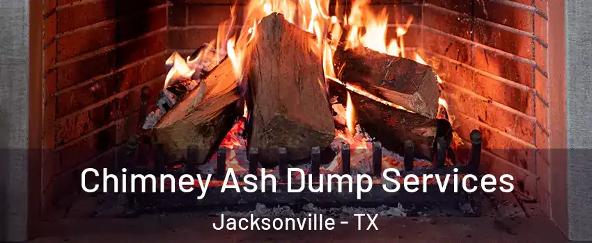  Chimney Ash Dump Services Jacksonville - TX