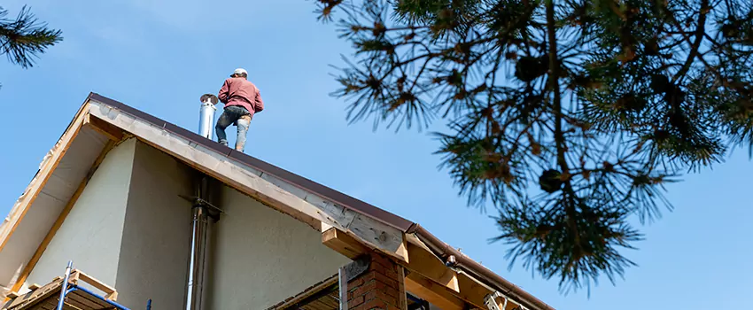 Birds Removal Contractors from Chimney in Jacksonville, TX